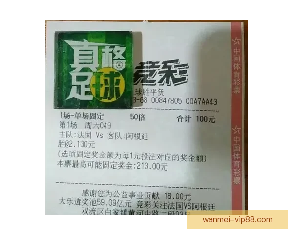 世界杯竞猜网站推荐与投注技巧分析助你精准预测赛事结果